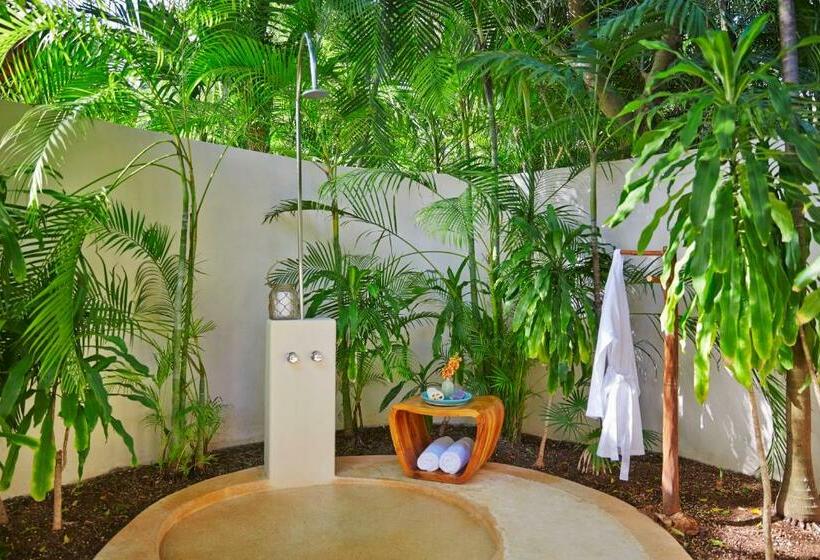 带1个卧室的别墅, Viceroy Riviera Maya, A Luxury Villa Resort