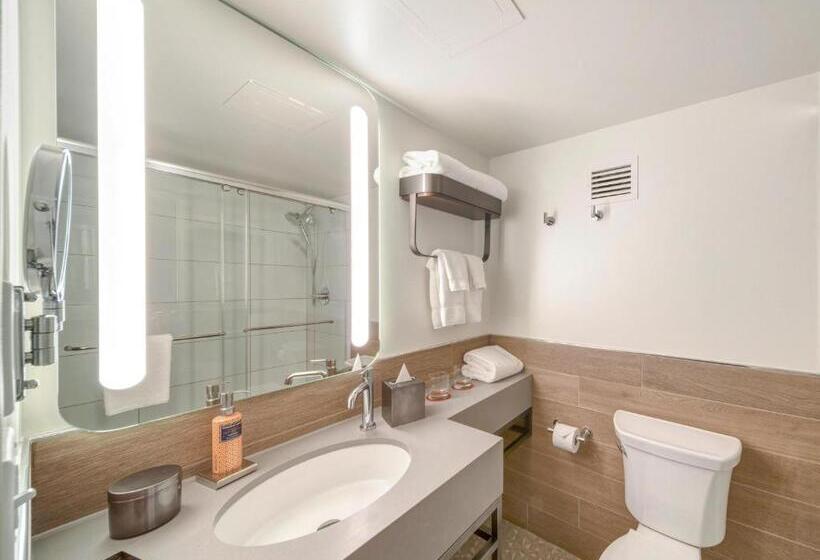 غرفة قياسية سرير كينج, The Wildbirch Hotel - JdV by Hyatt