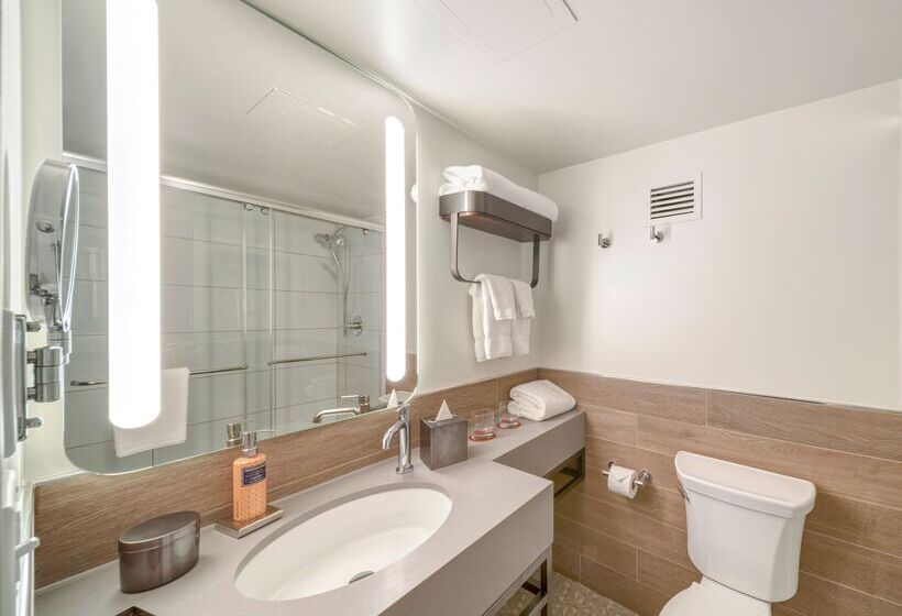 Quarto Estandar Cama Queen, The Wildbirch Hotel - JdV by Hyatt