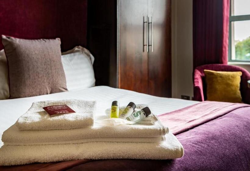 اتاق استاندارد با تخت دوبل, Carlton Hotel Dublin Airport