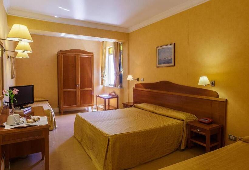 Номер Стандарт, Conchiglia D'oro