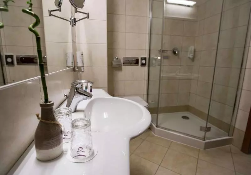 اتاق اکونومی, Mercure Sibiu Airport