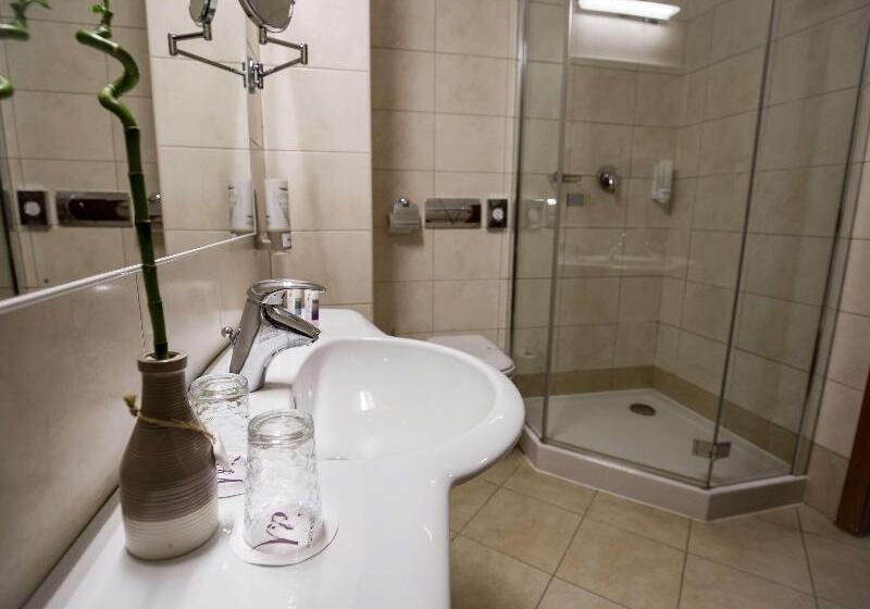 اتاق استاندارد, Mercure Sibiu Airport