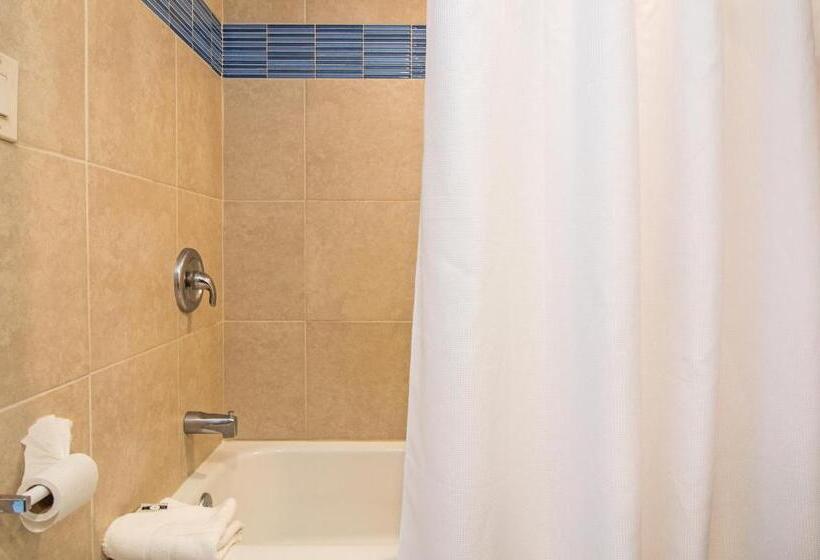 اتاق استاندارد با تخت بزرگ, Windward Passage