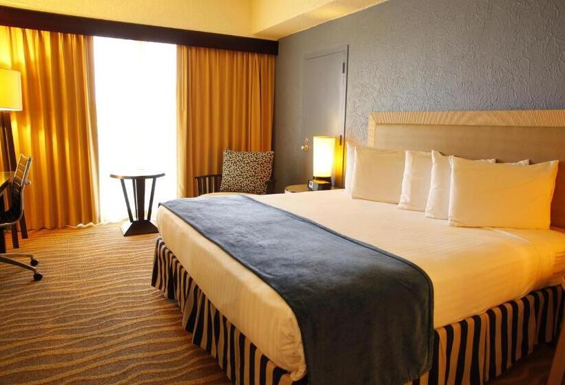 اتاق استاندارد با تخت بزرگ, Windward Passage