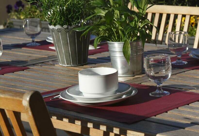 דירת חדר, Adonis Carcassonne