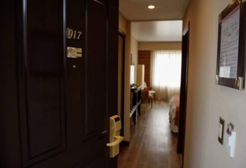 수피리어 룸, Alejandro 1º