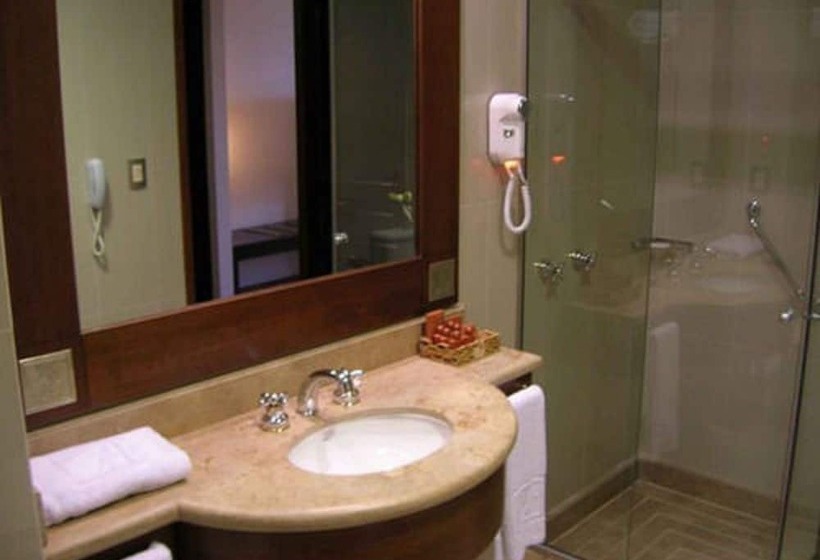 수피리어 룸, Alejandro 1º