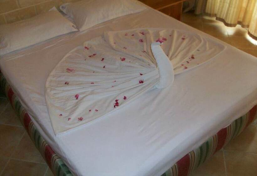 חדר סטנדרט, El Habib