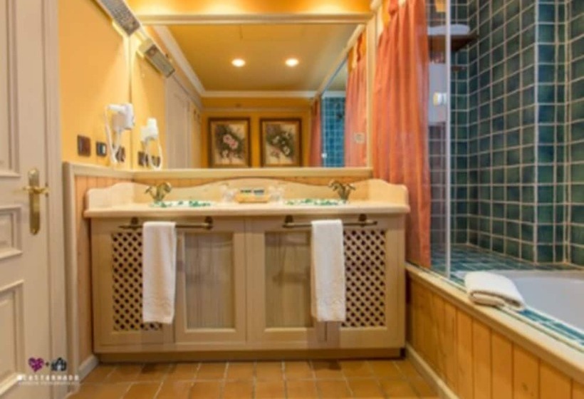 Полулюкс Одноместный с Террасой, Masía De Lacy