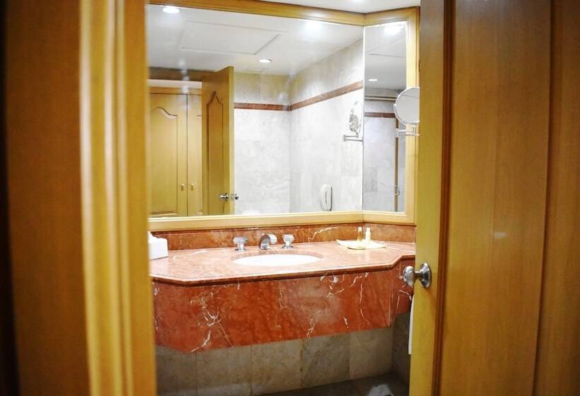 Номер Deluxe, San Luis Lindavista