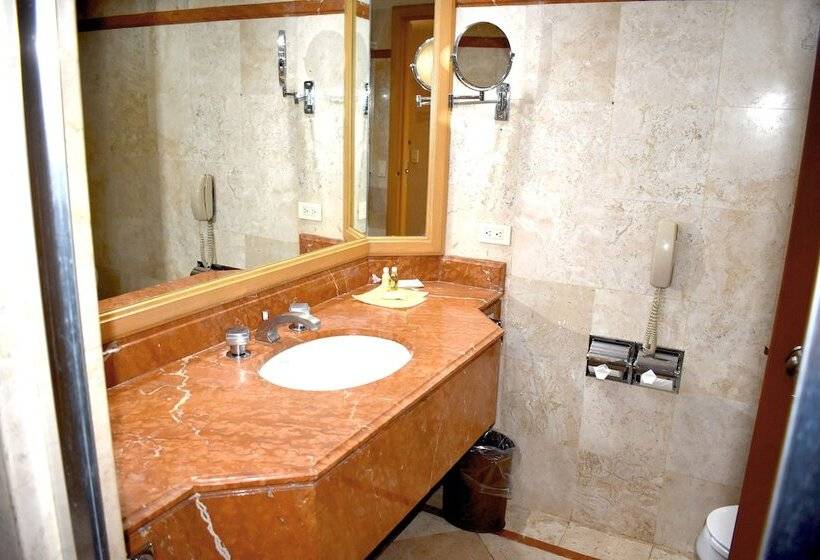 Номер Deluxe, San Luis Lindavista