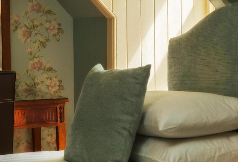 Номер Стандарт, The Tongue