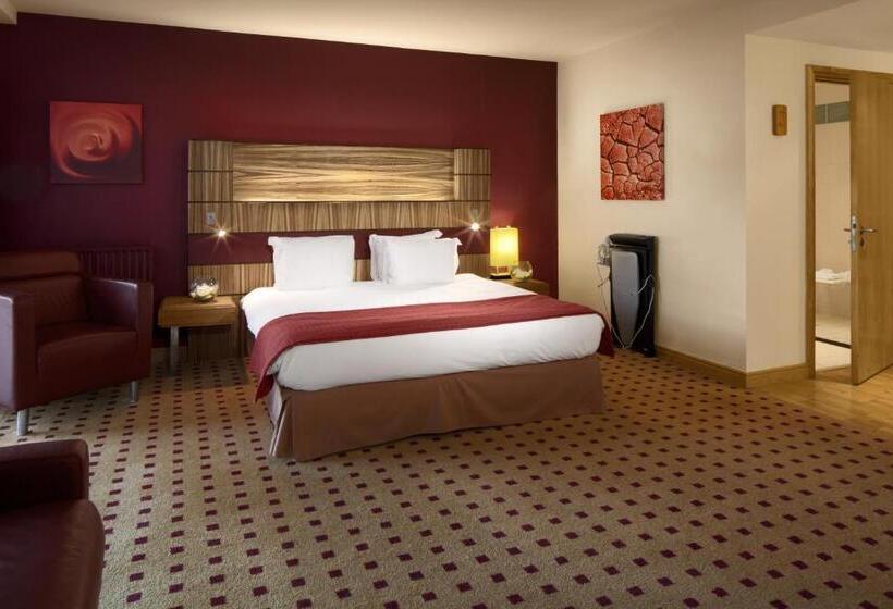 스탠다드 룸, Radisson Blu Hotel & Spa, Little Island Cork