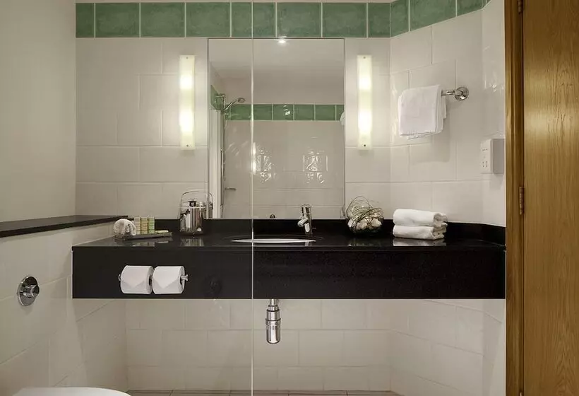 プレミアムルーム, Radisson Blu Hotel & Spa, Little Island Cork