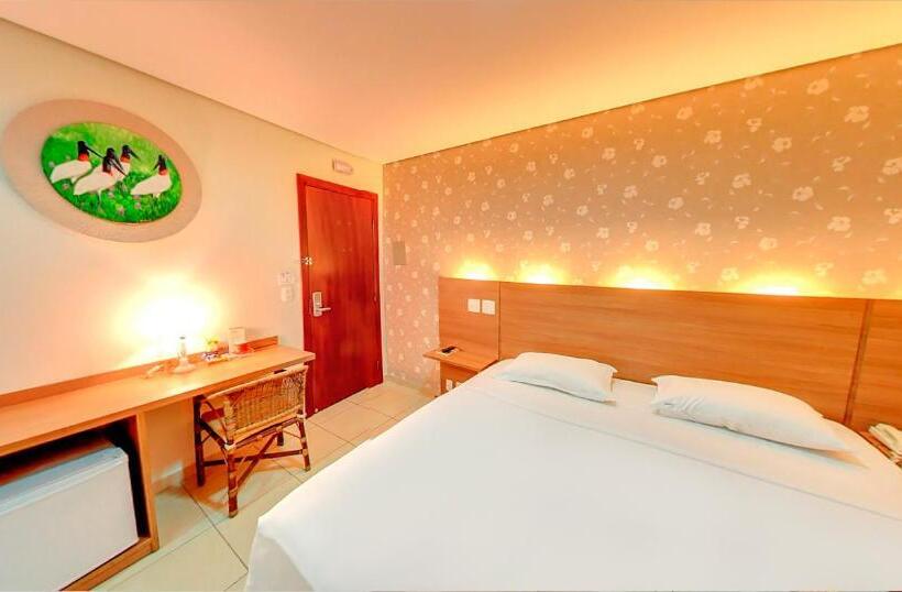 デラックスルーム, Amazon Plaza