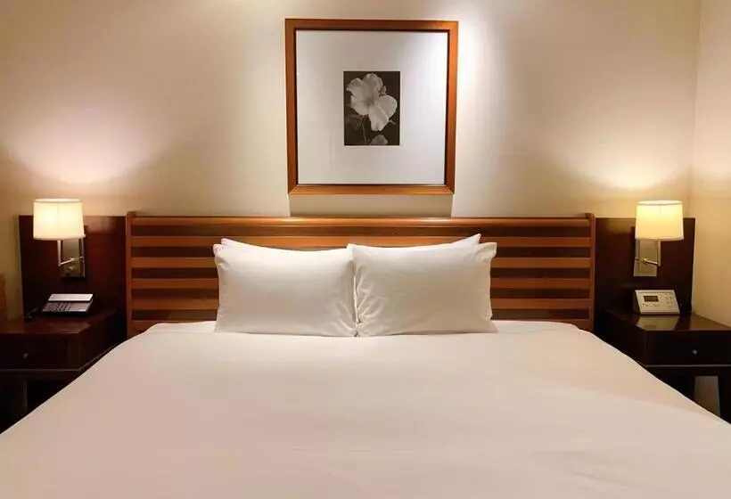 デラックスルーム, Ana Crowne Plaza Okayama, An Ihg