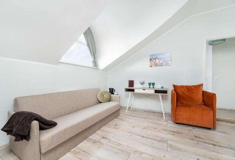 اتاق لوکس خانوادگی, Bern Boutique