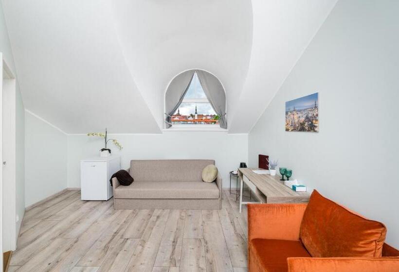 اتاق لوکس خانوادگی, Bern Boutique