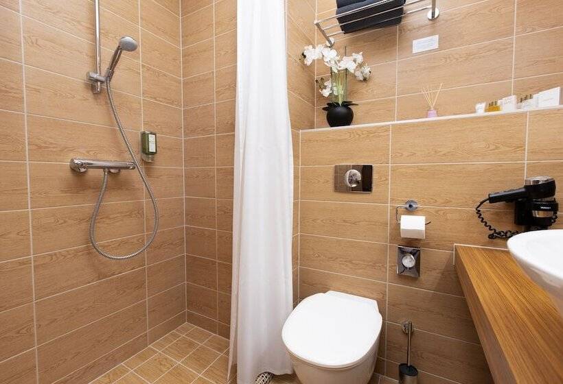 اتاق سوپریور, Bern Boutique