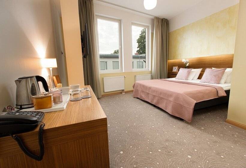 اتاق سوپریور, Bern Boutique