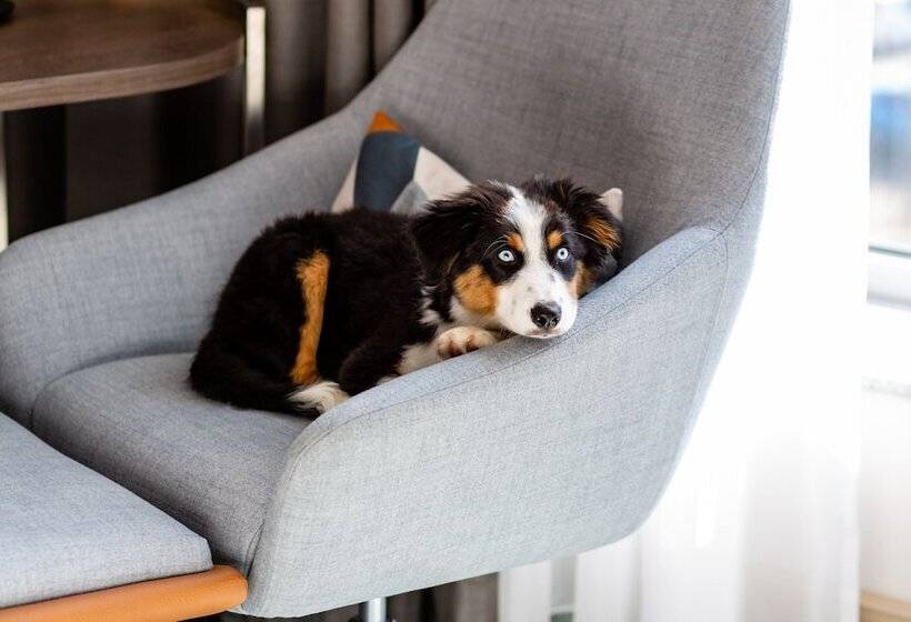 اتاق سوپریور, Courtyard By Marriott Berlin City Center