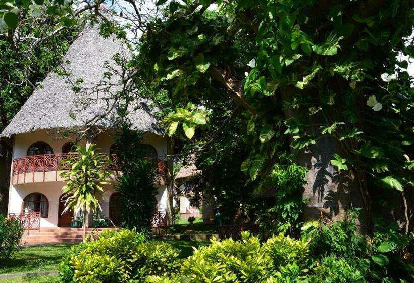 اتاق سوپریور, Neptune Paradise Beach Resort & Spa All Inclusive