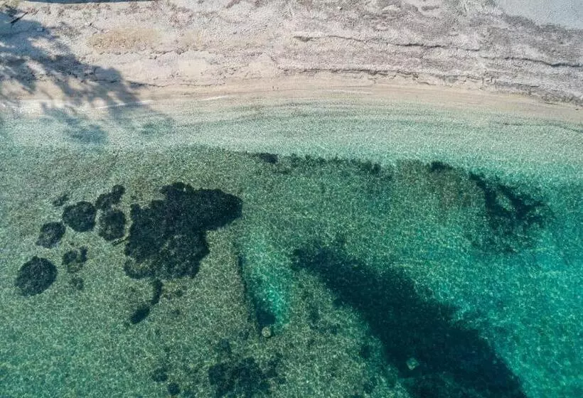 スイート(家族用), Bella Vista Beach