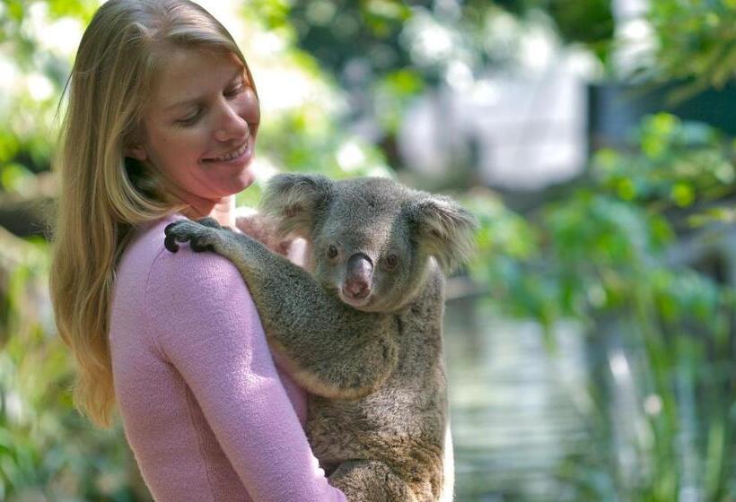 1ベッドルームのデラックスアパートメント, Martinique On Macrossan
