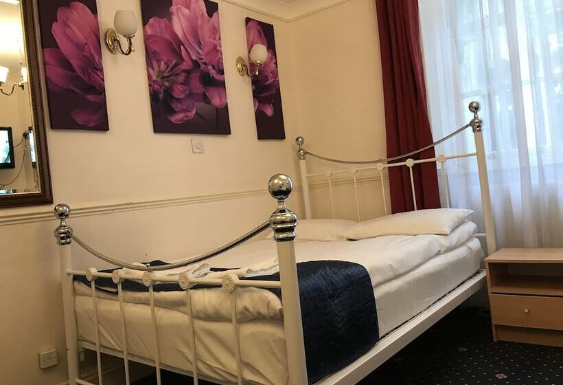 스탠다드 싱글 룸, Springfield Hotel London