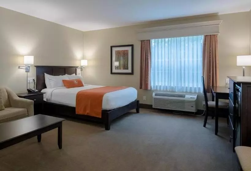 スタンダードルーム, Amsterdam Inn & Suites Sussex