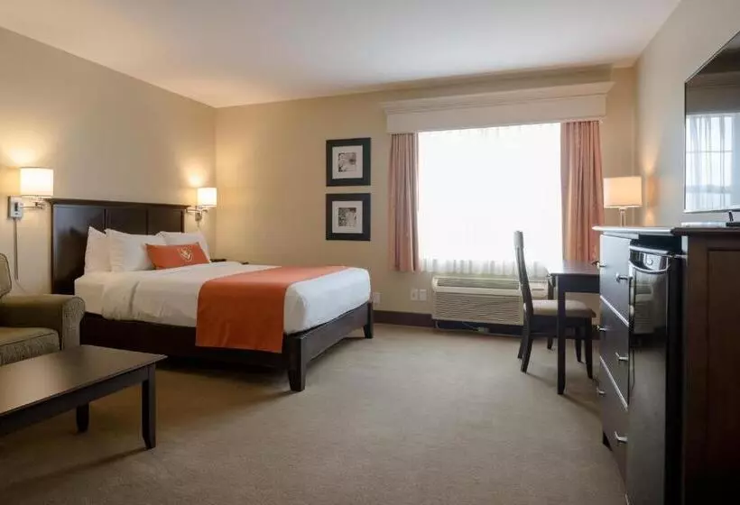 スタンダードルーム, Amsterdam Inn & Suites Sussex