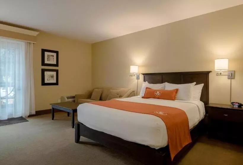 スタンダードルーム, Amsterdam Inn & Suites Sussex