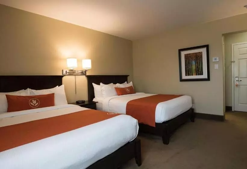 スタンダードルーム, Amsterdam Inn & Suites Sussex
