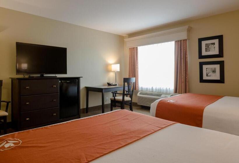 Номер Стандарт, Amsterdam Inn & Suites Sussex
