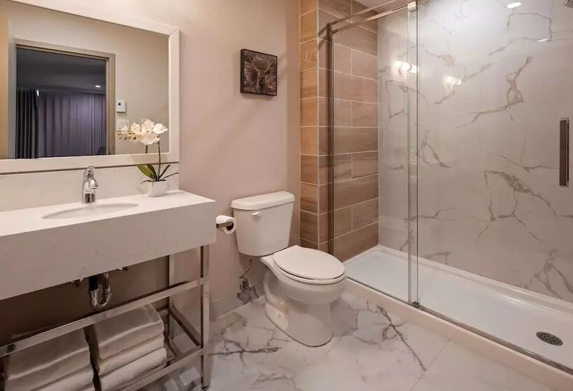 ファミリールーム, Best Western Plus Montreal East