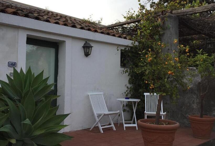 غرفة قياسية, Etna