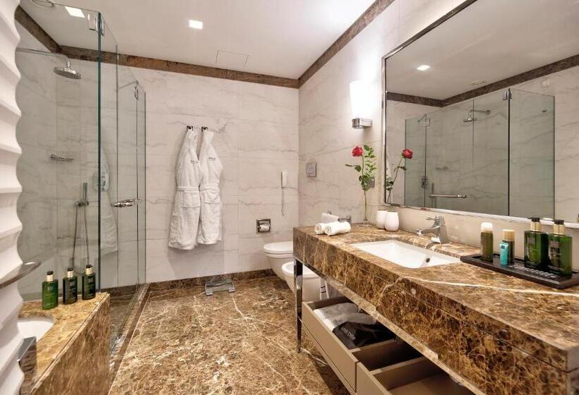 Полулюкс Одноместный с Террасой, Meliá Genova