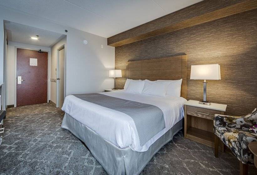 غرفة قياسية سرير مزدوج, Monte Carlo Inn Vaughan Suites