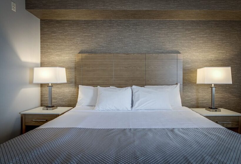 غرفة قياسية سرير مزدوج, Monte Carlo Inn Vaughan Suites