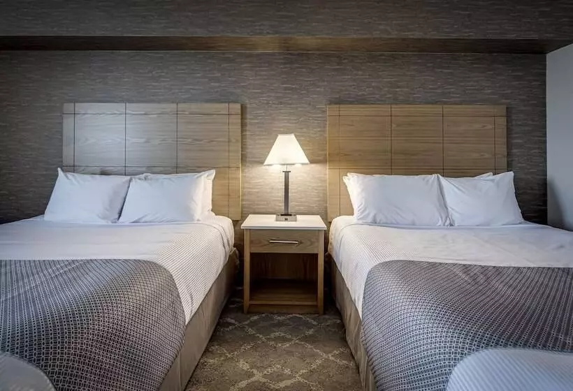 2ダブルベッドのスタンダードルーム, Monte Carlo Inn Vaughan Suites