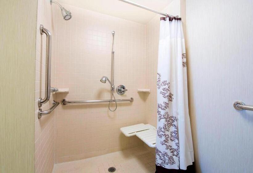 Suíte, Residence Inn By Marriott Mississaugaairport Corporate Centre West