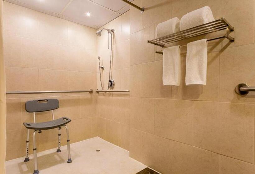 חדר דלוקס נוף לעיר, Sheraton Grand Panama