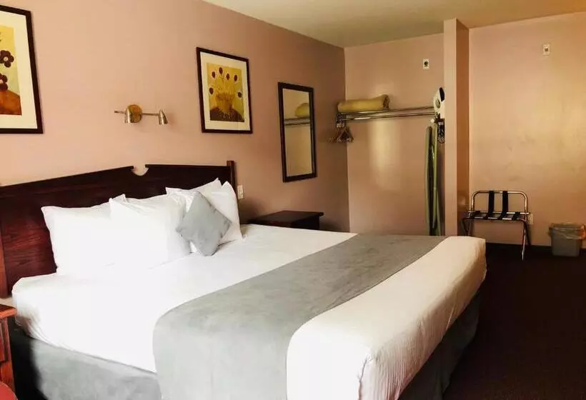اتاق استاندارد با تخت بزرگ, Super 8 By Wyndham Lake Country/winfield Area