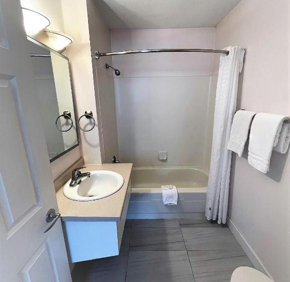 带大床的标准工作室, Super 8 By Wyndham Lake Country/winfield Area