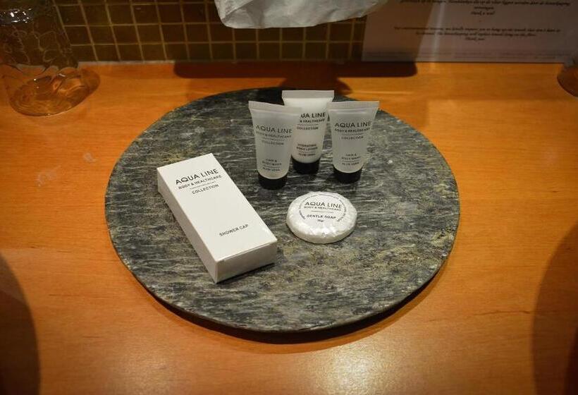 豪华房间, Van Eyck