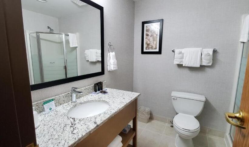 Deluxe Suite, Wingate By Wyndham Lethbridge