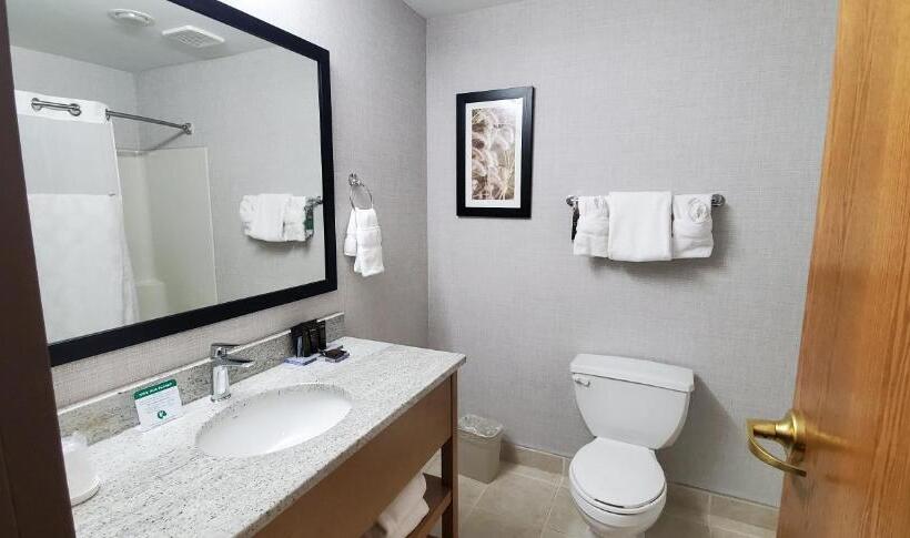 Standard Szoba King Size Bed, Wingate By Wyndham Lethbridge