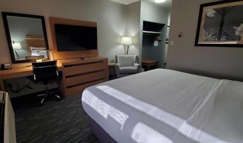 Standard Szoba King Size Bed, Wingate By Wyndham Lethbridge