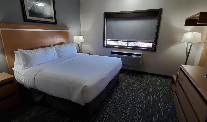 Suite King Size Bed, Wingate By Wyndham Lethbridge